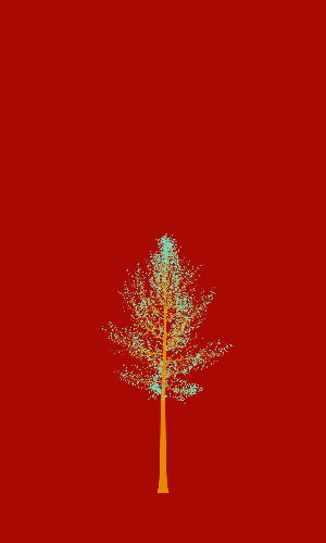 Treee