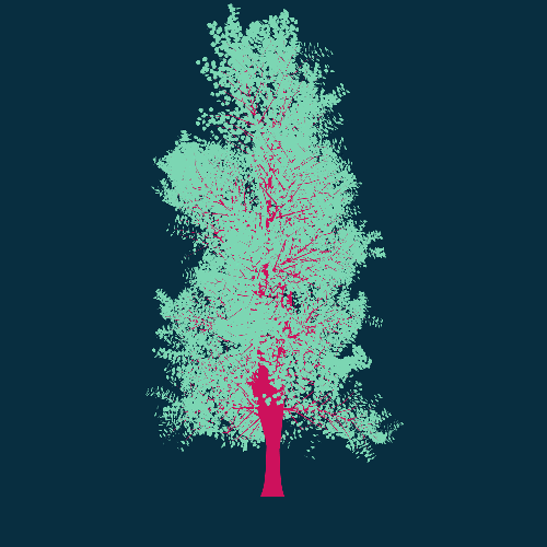 Treee