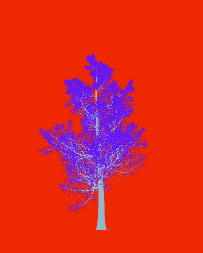 Treee