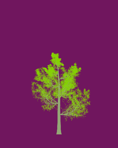 Treee