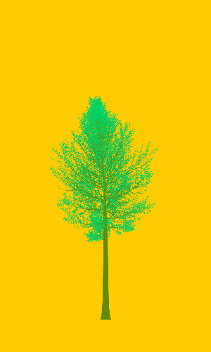 Treee