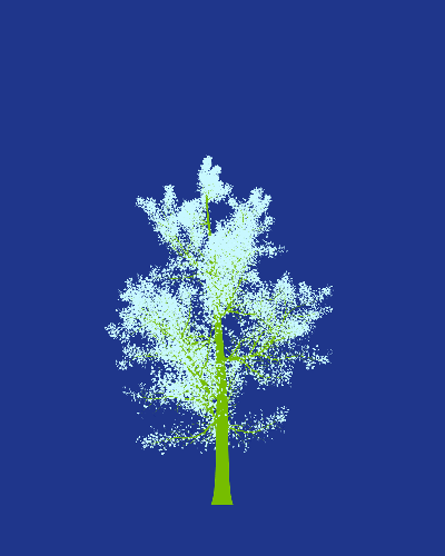 Treee