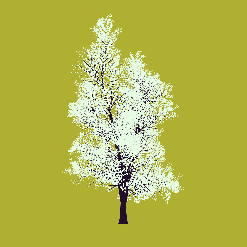 Treee