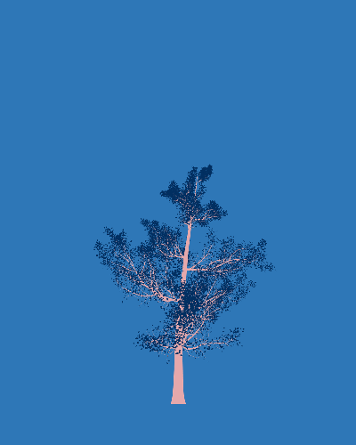 Treee