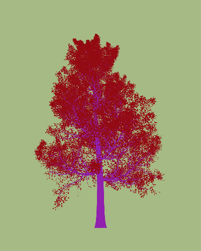 Treee
