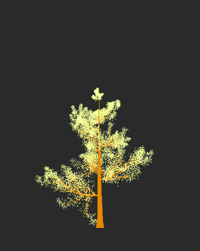 Treee