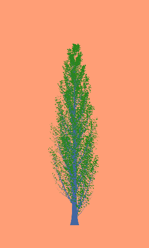 Treee