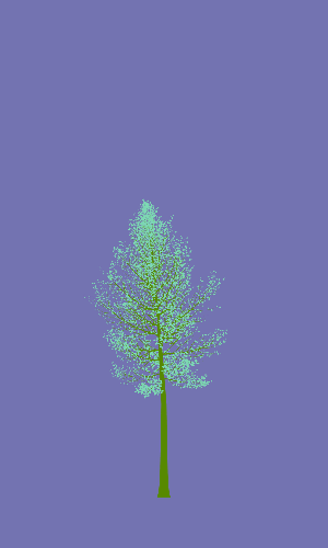 Treee