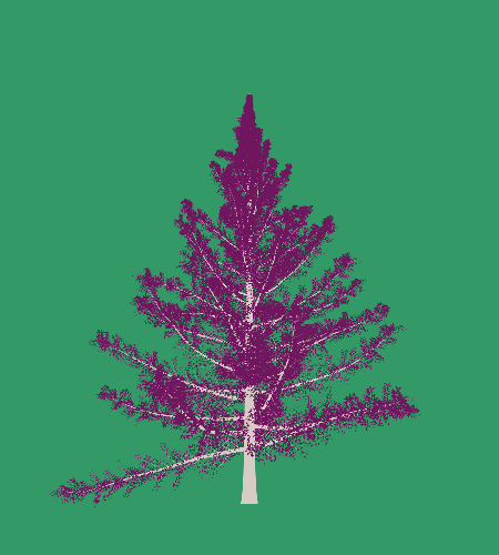 Treee