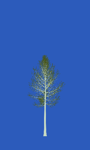 Treee