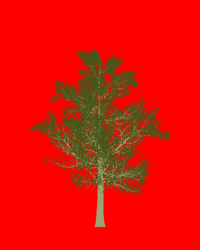 Treee