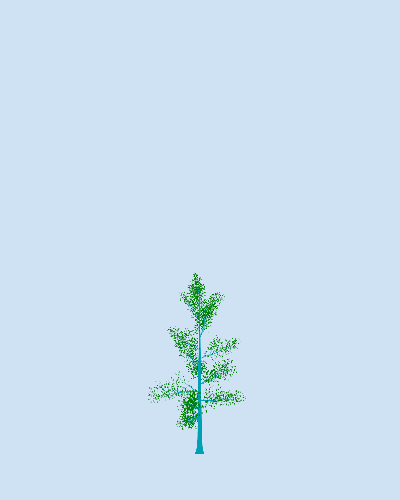 Treee