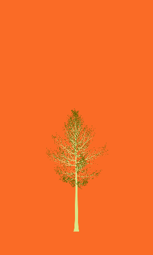 Treee