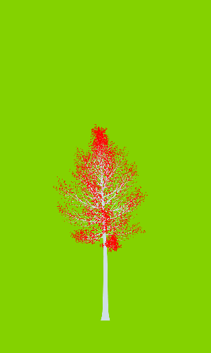 Treee