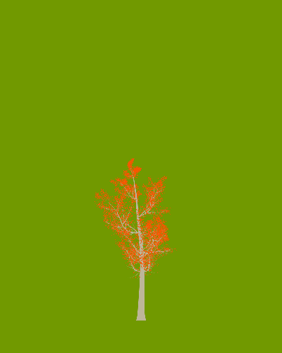 Treee