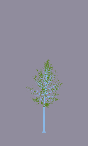 Treee
