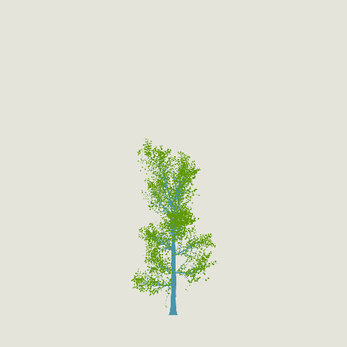 Treee