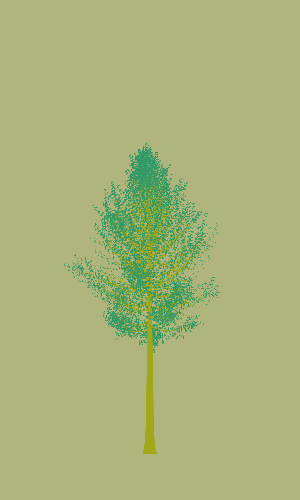 Treee