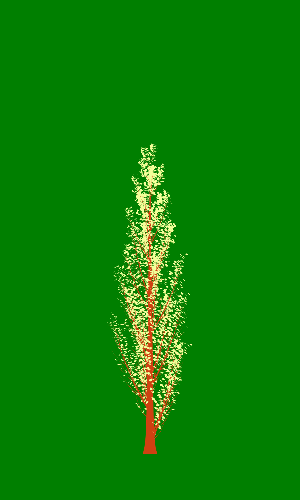 Treee