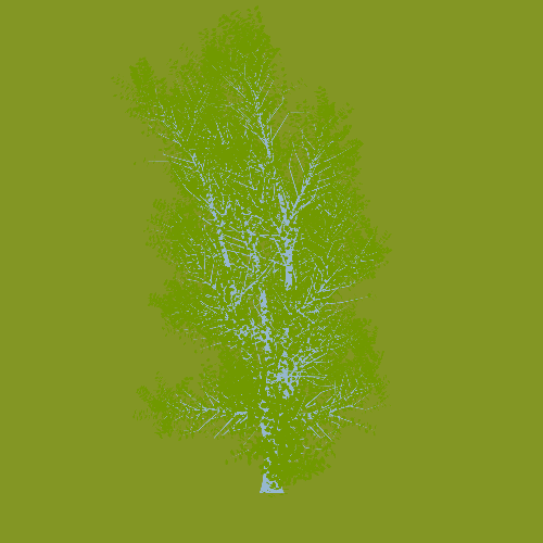 Treee