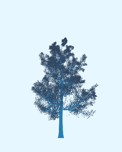 Treee