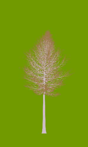 Treee