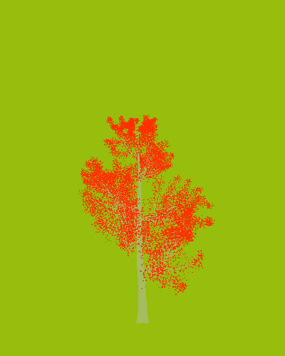 Treee