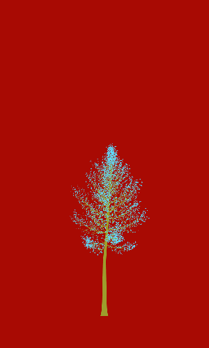 Treee