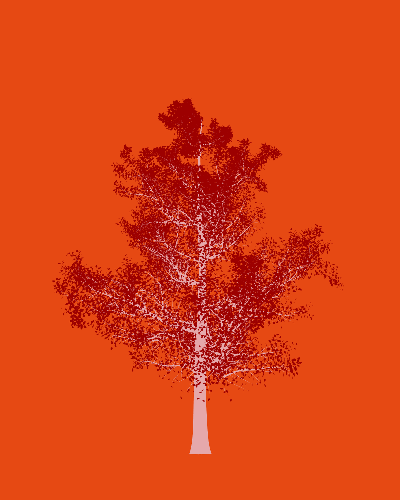 Treee