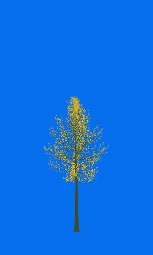 Treee