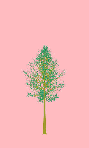 Treee
