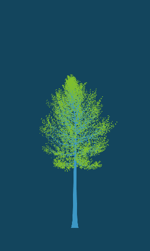 Treee