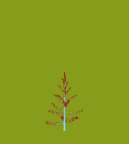 Treee
