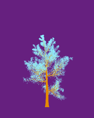 Treee