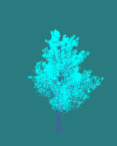Treee