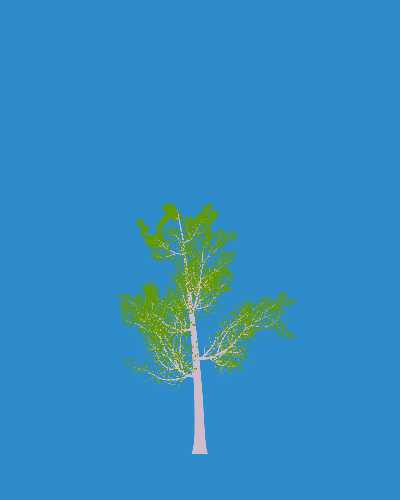 Treee