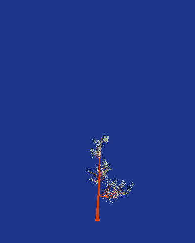 Treee