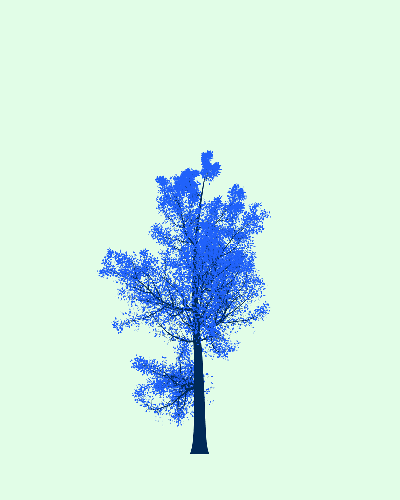 Treee