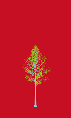 Treee