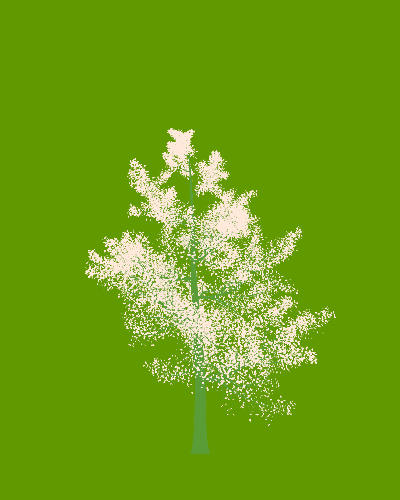 Treee
