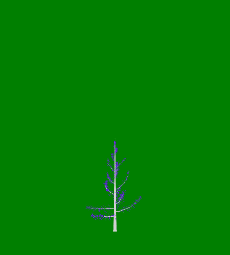 Treee