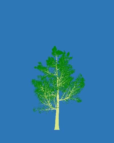 Treee
