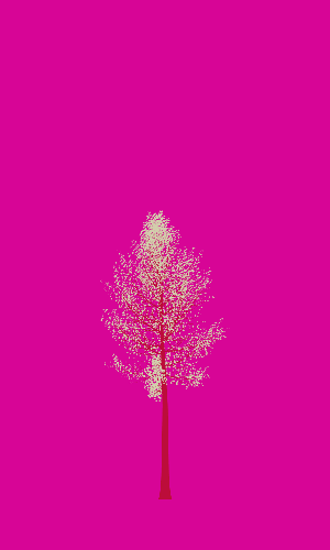 Treee