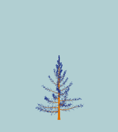 Treee