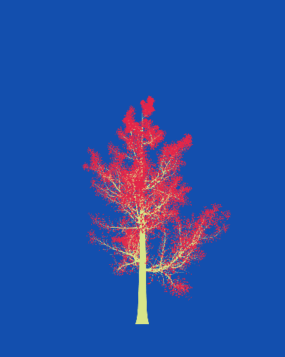 Treee