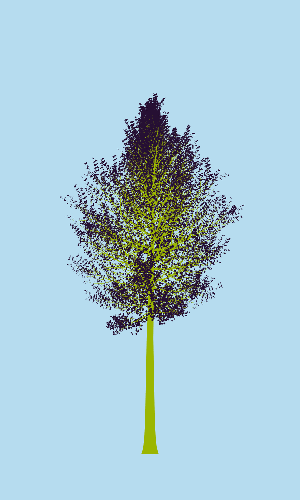 Treee
