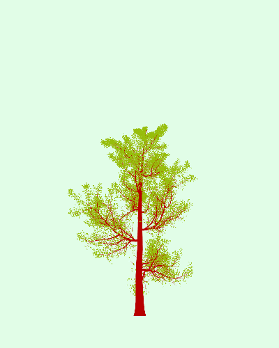 Treee