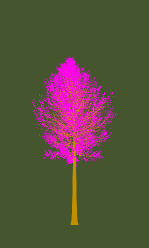 Treee