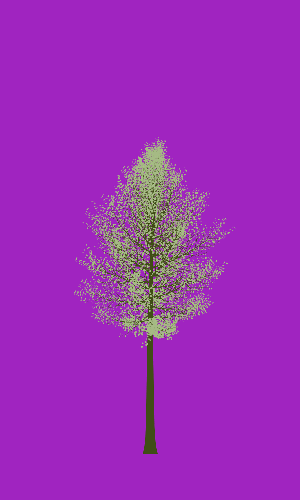 Treee