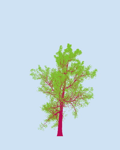 Treee
